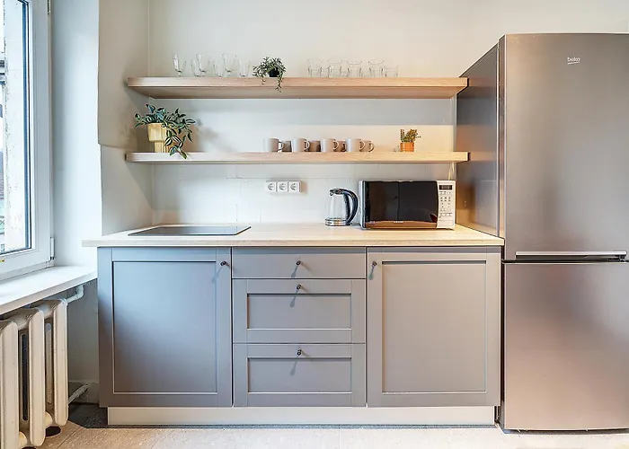 Funky Penthouse Center * קובנה