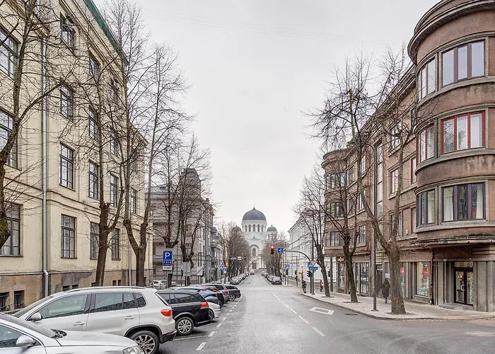 Funky Penthouse Center קובנה